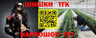 твердый Будённовск