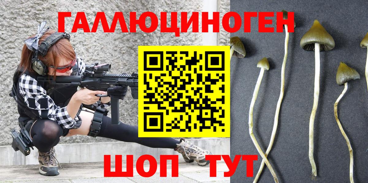 Псилоцибиновые грибы прущие грибы  Вход с VPN  Истра 