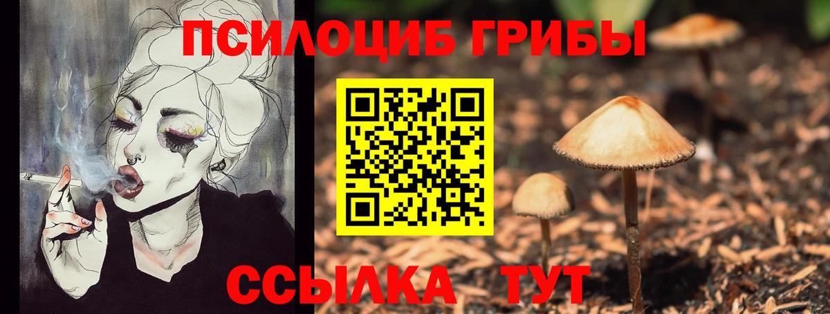 Псилоцибиновые грибы Magic Shrooms Истра